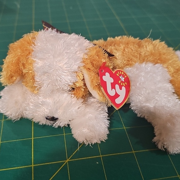 Ty Beanie Babies Collection Plush - White and Tan Darling - Picture 1 of 7